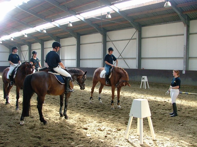 Vijftig Lounge ritme Zelfstandig instructeur paardrijden - SYNTRA Opleidingen